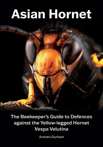 Cover image for Asian Hornet The Beekeeper's Guide to Defences against the Yellow-legged Hornet Vespa Velutina
