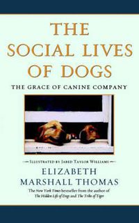 Cover image for Social Lives of Dogs