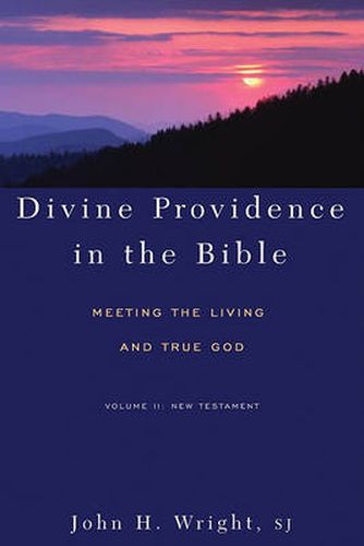 Cover image for Divine Providence in the Bible: Meeting the Living and True God