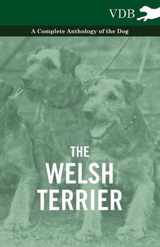 Cover image for The Welsh Terrier - A Complete Anthology of the Dog