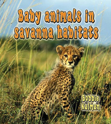 Cover image for Baby Animals in Savanna Habitats