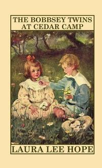 Cover image for The Bobbsey Twins at Cedar Camp