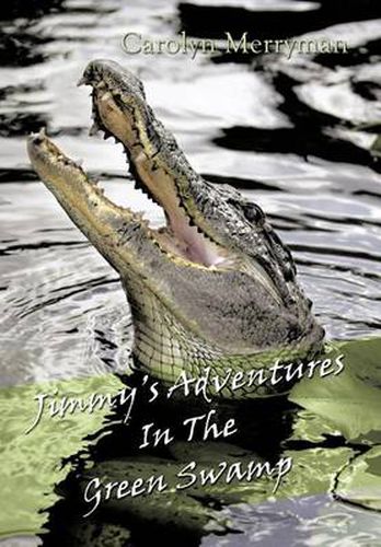 Cover image for Jimmy's Adventures in the Green Swamp