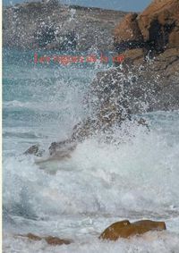 Cover image for Les vagues de la vie