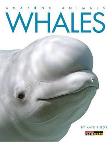 Cover image for Whales