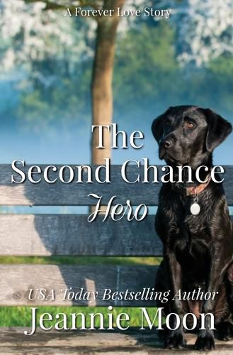 Cover image for The Second Chance Hero