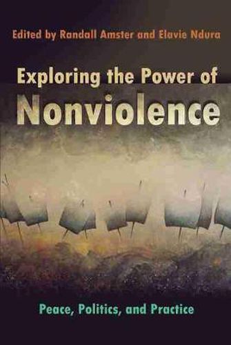 Cover image for Exploring the Power of Nonviolence: Peace, Politics, and Practice