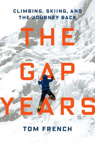 Cover image for The Gap Years