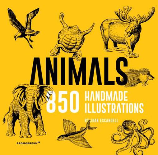 Cover image for Animals: 850 Handmade Illustrations