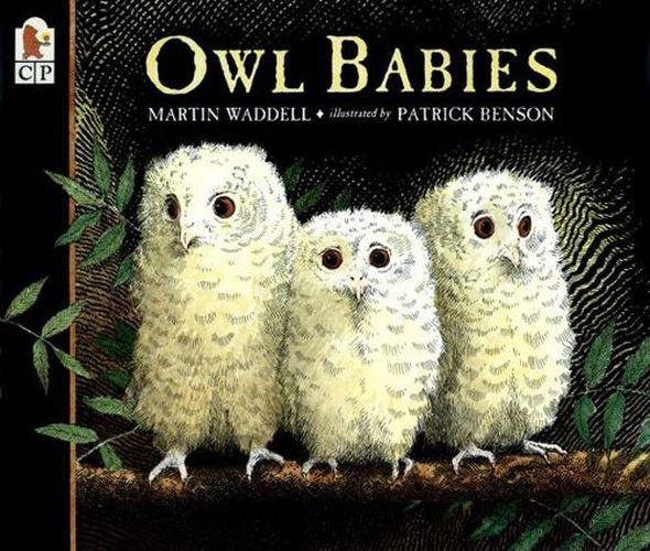Cover image for Owl Babies