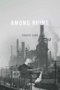 Cover image for Among Ruins