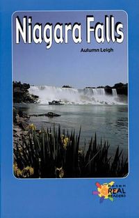 Cover image for Niagara Falls