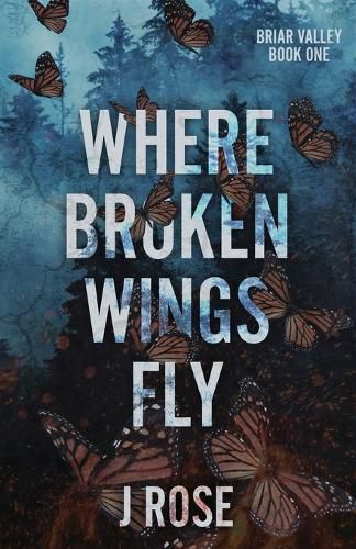 Cover image for Where Broken Wings Fly