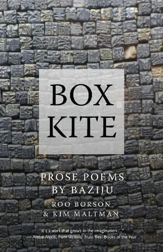 Cover image for Box Kite