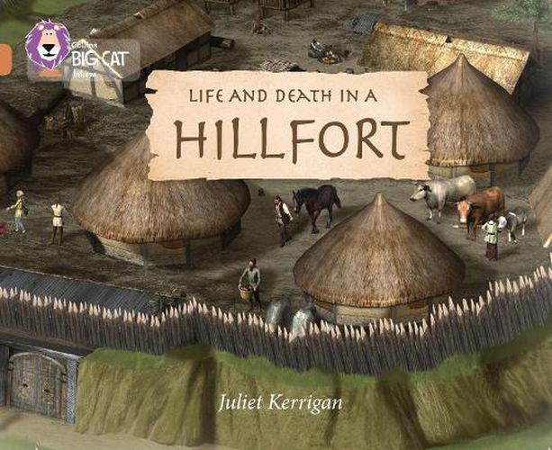 Life and Death in an Iron Age Hill Fort: Band 12/Copper