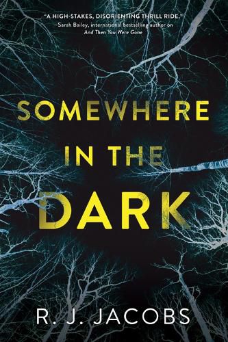 Cover image for Somewhere In The Dark