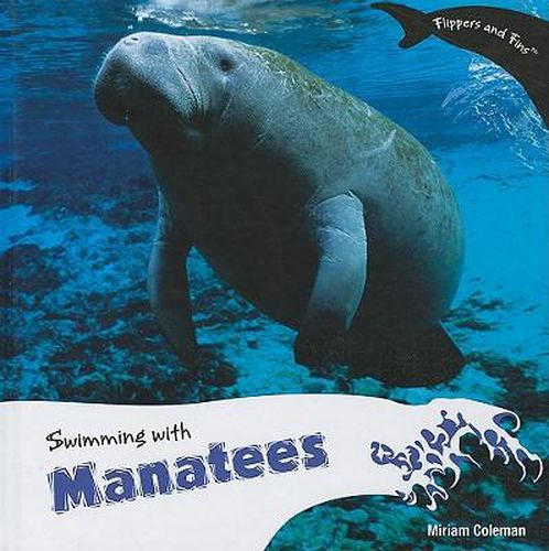 Swimming with Manatees