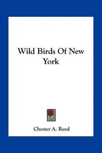 Cover image for Wild Birds of New York