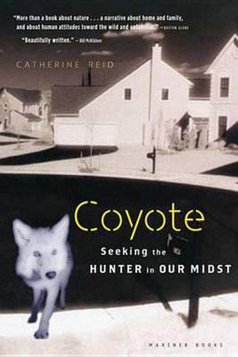 Cover image for Coyote