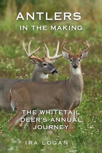 Cover image for Antlers in the Making