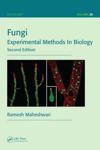 Cover image for Fungi: Experimental Methods In Biology, Second Edition