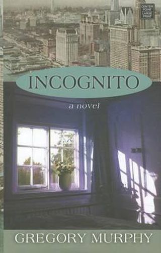 Cover image for Incognito