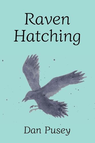 Raven Hatching