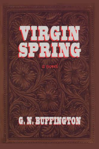 Cover image for Virgin Spring: A Southwest Story of Romance and Adventure