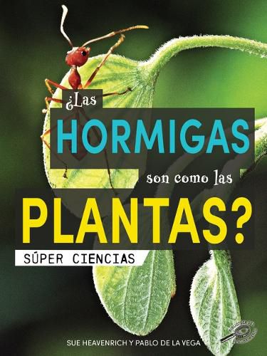 ?Las Hormigas Son Como Las Plantas?