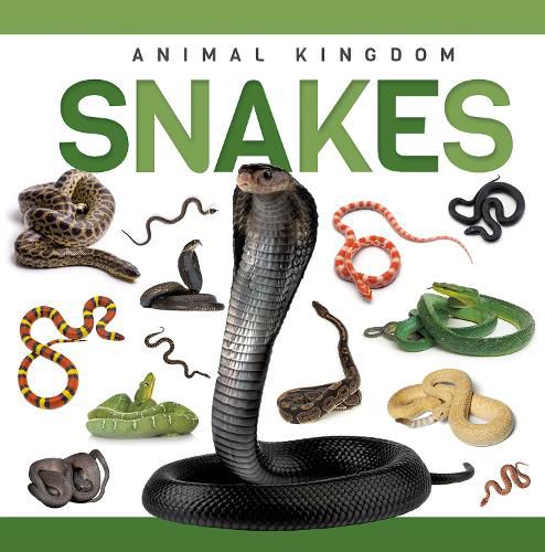 Cover image for Snakes