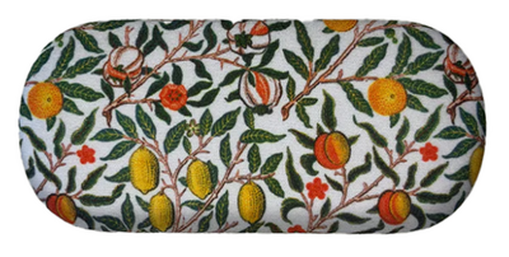 Cover image for Travel Case Fruit