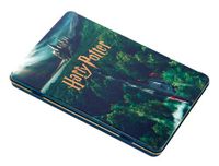 Cover image for Harry Potter: Hogwarts Concept Art Postcard Tin Set