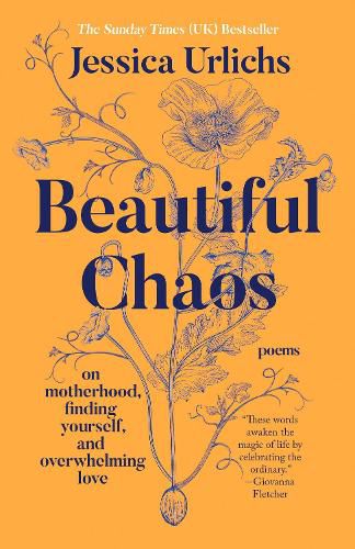 Cover image for Beautiful Chaos