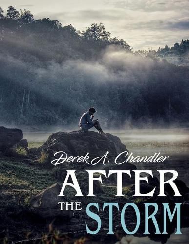 Cover image for After The Storm