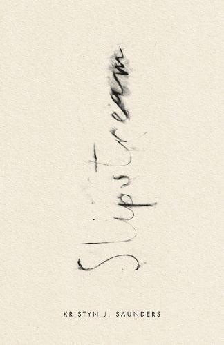 Cover image for Slipstream
