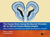 Cover image for The Human Brain during the Second Trimester 96- to 150-mm Crown-Rump Lengths