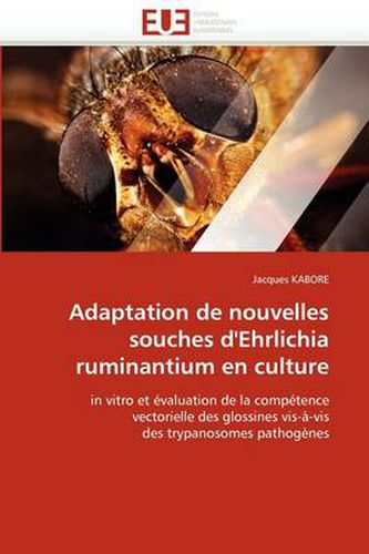 Cover image for Adaptation De Nouvelles Souches D'Ehrlichia Ruminantium En Culture