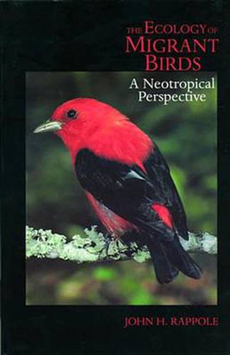 Cover image for The Ecology of Migrant Birds: A Neotropical Perspective