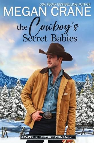 Cover image for The Cowboy's Secret Babies