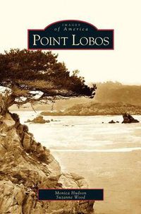 Cover image for Point Lobos