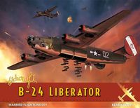 Cover image for Witchcraft B-24 Liberator