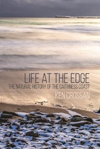 Cover image for Life at the Edge
