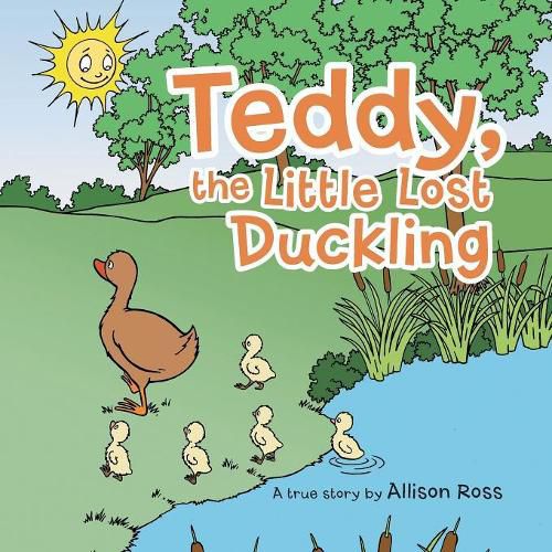 Cover image for Teddy, the Little Lost Duckling