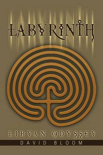 Cover image for Labyrinth