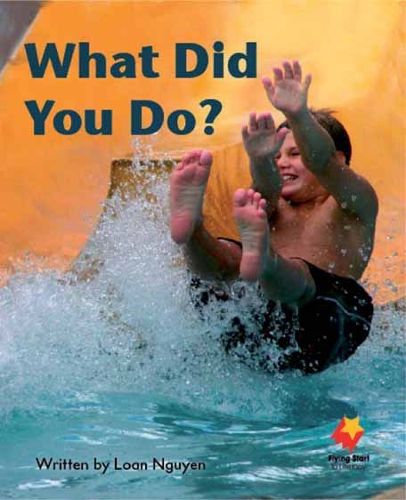 Cover image for What Did You Do?