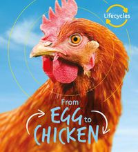 Cover image for Lifecycles: Egg to Chicken