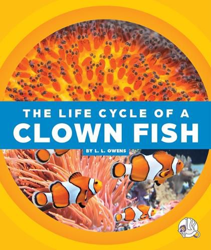 Cover image for The Life Cycle of a Clown Fish