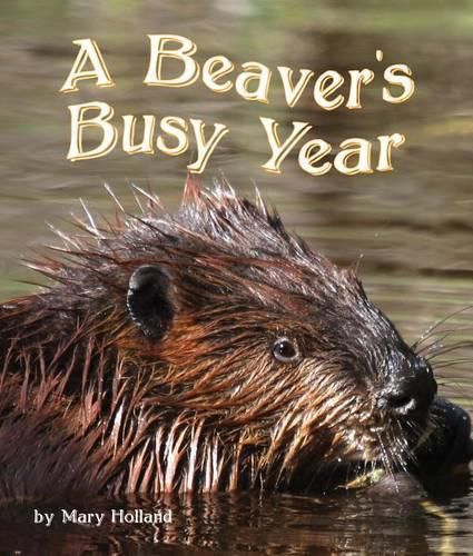 Cover image for The Beavers' Busy Year