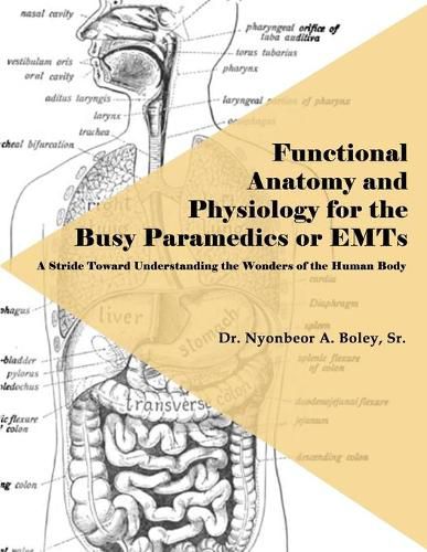 Cover image for Functional Anatomy and Physiology for the Busy Paramedics or EMTs: A Stride Toward Understanding the Wonders of the Human Body