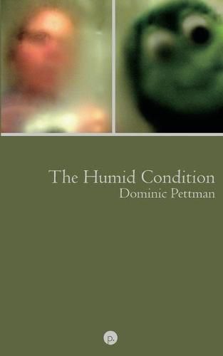 Cover image for The Humid Condition: (More) Overheated Observations